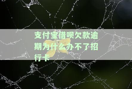 支付宝借呗欠款逾期为何影响办理招商银行信用卡？