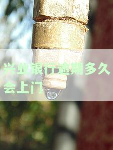 兴业银行逾期40天：今天收到电话明天上门催收？
