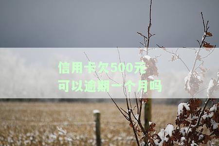 信用卡欠500元是否能逾期一个月？知乎讨论