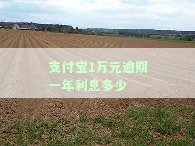 支付宝1万逾期一个月罚息多少？影响因素与计算方法