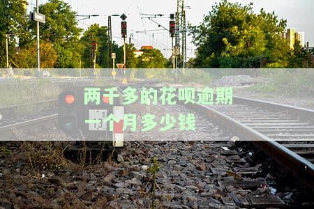 花呗欠两千逾期两个月会被告吗？影响及解决办法全解析
