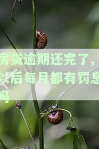 房贷逾期还清后是否还会被法院执行？已还款仍可能被起诉，还完后是否会自动撤诉？能否再贷款买房？逾期已被结清情况探讨。
