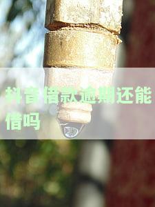 抖音借款逾期一天：会影响征信吗？
