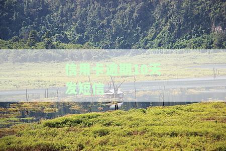 信用卡逾期10天发短信通知：该如何应对与还款？