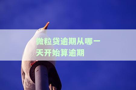 微粒贷逾期：从哪天开始算逾期？几天算严重？多久会被自动扣款？何时开始催收？