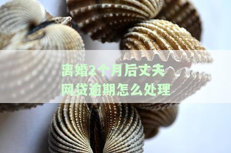 离婚后网贷逾期会牵连前妻吗？法院能查到吗？网贷无力偿还最新规定及离婚贷款条件