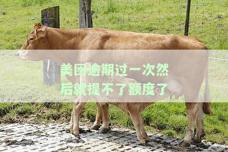 美团逾期过一次，额度无法提升，多久能恢复？逾期一天后仍有额度但无法借款应如何解决？