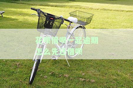 花呗和借呗逾期后还清多久能恢复使用资格？逾期还款后多长时间可以再次使用？