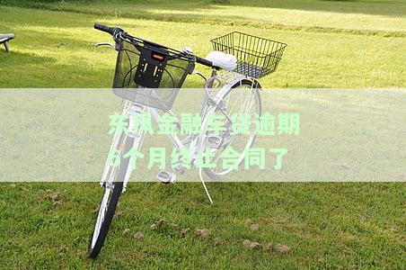 东风金融车贷逾期2年：影响及解决办法