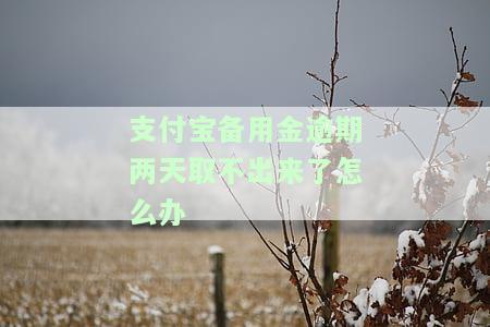 支付宝备用金逾期一天无法取出，如何解决？
