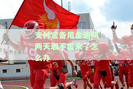 支付宝备用金逾期2天后还款仍无法使用，原因及解决办法