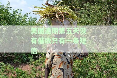 美图逾期3天会怎么样？影响及后果解析