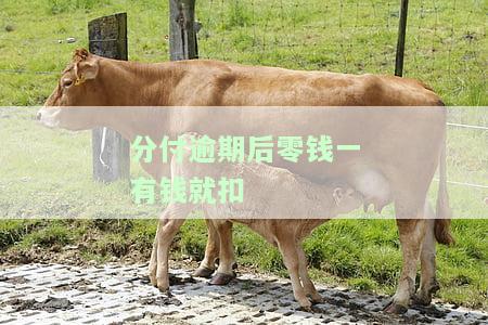 分付逾期后零钱一有钱就扣了：如何处理及后果分析