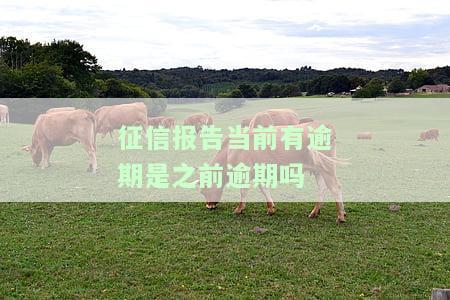 征信报告里‘当前有逾期’含义解析
