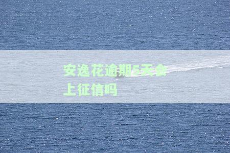 安逸花逾期多久上征信后果有多严重？逾期会带来哪些影响？