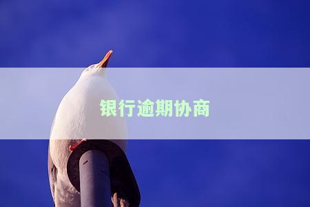 银行逾期协商