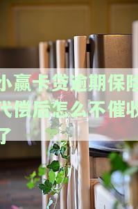 小赢卡贷被保险代偿：处理方法、到账时间及合法性全解析