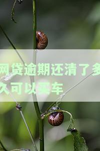 网贷逾期还清后多久能贷款/买房买车？