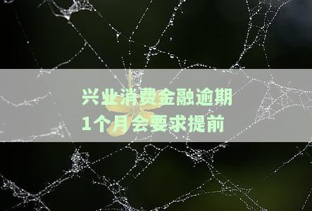 兴业消费金融逾期1个月会要求提前还清吗？逾期影响信用卡吗？