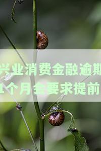兴业消费金融贷款逾期几个月了可以只还本金吗？后果、起诉时间及协商分期解析