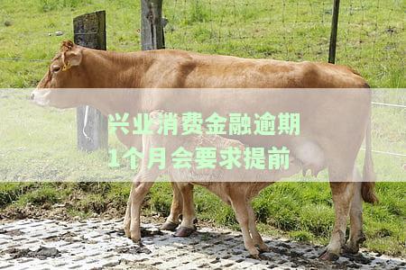 兴业消费金融逾期三个月的后果及无力偿还解决办法