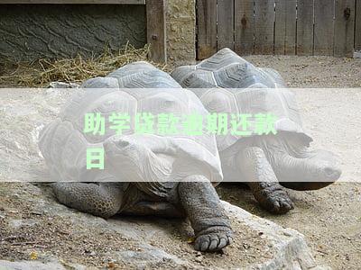 助学贷款逾期还款日-助学贷款逾期还款日期
