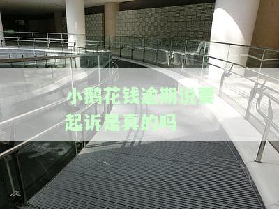 小鹅花钱逾期会暴力催收、起诉并上征信吗？——亲身经历两年逾期8000的情况
