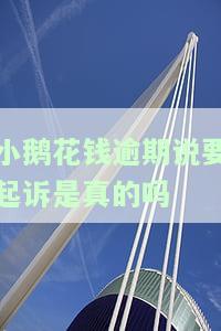 小鹅花钱逾期会不会上征信？影响及可能的法律后果