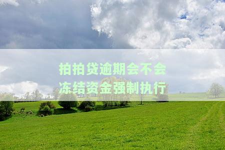 拍拍贷会冻结资金强制还款吗？真的存在强制执行的情况吗？安全性如何？