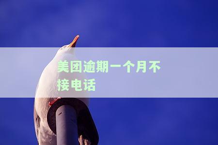 美团逾期1个月，现无催收电话，60天后仍未联系，是否会上门？4个月未收到任何消息，19天内电话频繁催款，如何应对？