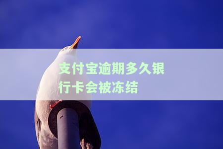 支付宝长时间逾期不还：会冻结你的所有银行卡吗？