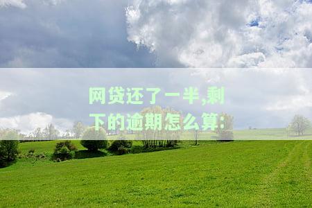 网贷还款一半，剩余部分逾期，违约金如何计算？