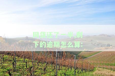 网贷还了一半,剩下逾期如何计算还款金额及后续处理方案