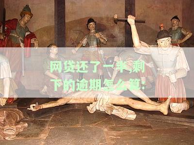 网贷还一半是否会被起诉？全攻略！
