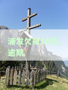 浦发欠款10万,逾期