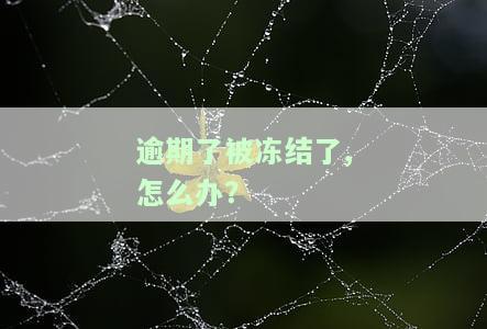 '逾期了被冻结了,怎么办理：信用卡、银行卡、房贷及解冻方法'