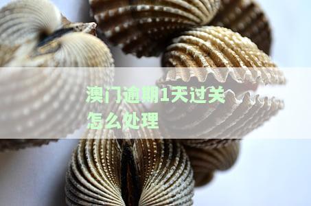 澳门逾期一天怎么办？罚款、影响及解决方法全解析