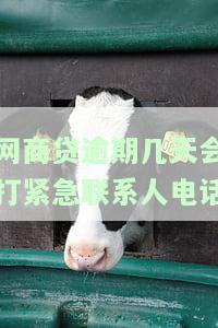 网商贷逾期几天会打电话给通讯录的人？如何处理逾期问题？