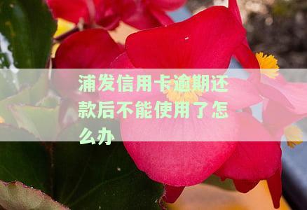 浦发信用卡逾期还款后不能使用了？解决办法及建议