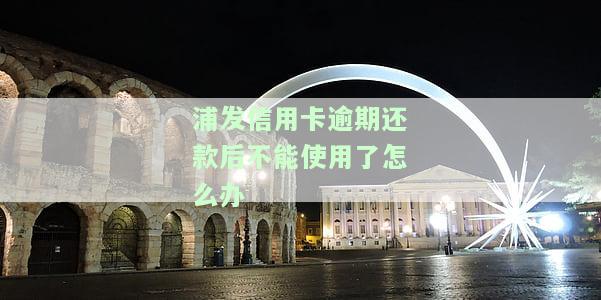 浦发银行逾期还款后是否仍可使用？逾期多久需全额还款？如何处理逾期情况？能否申请分期付款？逾期违约金能否撤销？逾期20天后能否再开通卡片？