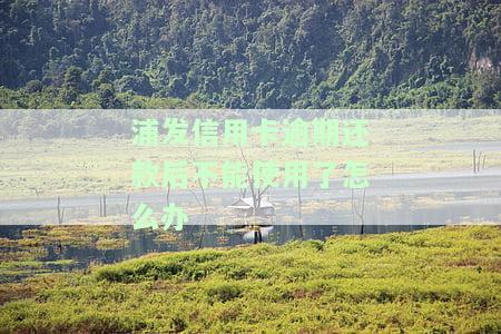 浦发逾期一天还款后，能否继续使用及资金安全问题？