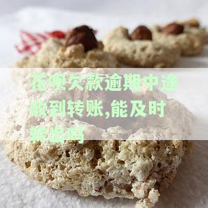 花呗欠款逾期中途收到转账,能及时转出吗-花呗欠款逾期中途收到转账,能及时转出吗