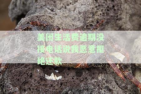 美团生活费逾期没接电话说我恶意拒绝还款，应该怎么办？