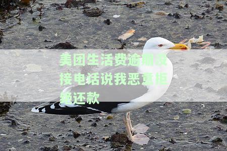 美团生活费逾期没接电话说我恶意拒绝还款