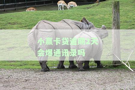 小赢卡贷逾期后是否会爆通讯录？还会去工作地催收吗？会影响现有信用卡吗？