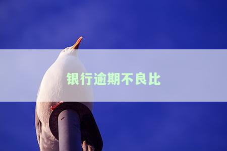 银行贷款逾期不良记录多久会消失？影响及解决方法