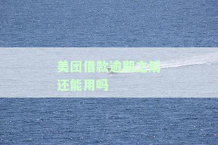 美团借款逾期之后还能用吗-美团借款逾期之后还能用吗安全吗