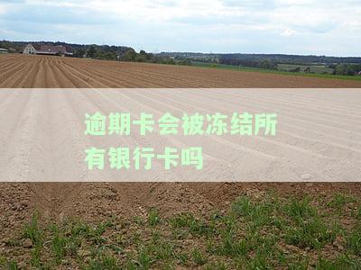 逾期后银行卡会被冻结吗？详解信用卡、网贷及解冻方法
