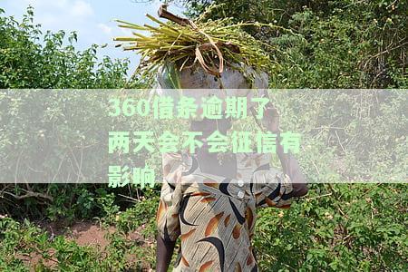 逾期两天后还款，多久能再次借款？
