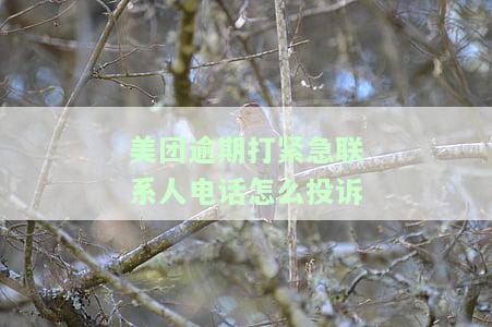 美团逾期：打电话联系家人违法吗？如何申请期还款？真有此事吗？会继续打给他人吗？